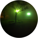 vicente javier milic gil profile picture