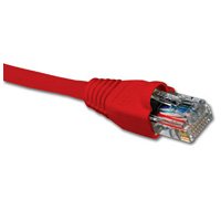 Nexxt Patch Cord Cat6 | 3 Pies Rojo
