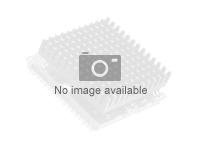 Intel Core i3 i3-14100 - 3.5 GHz - 4 núcleos - 8 hilos - 12 MB caché - FCLGA1700 Socket - Caja