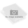 Procesador 20 núcleos 28 hilos 33MB caché Socket LGA1700 Intel Core i7 14700 2 Intel Core i7 i7-14700 - 2.1 GHz - 20 núcleos - 28 hilos - 33 MB caché - FCLGA1700 Socket - Caja