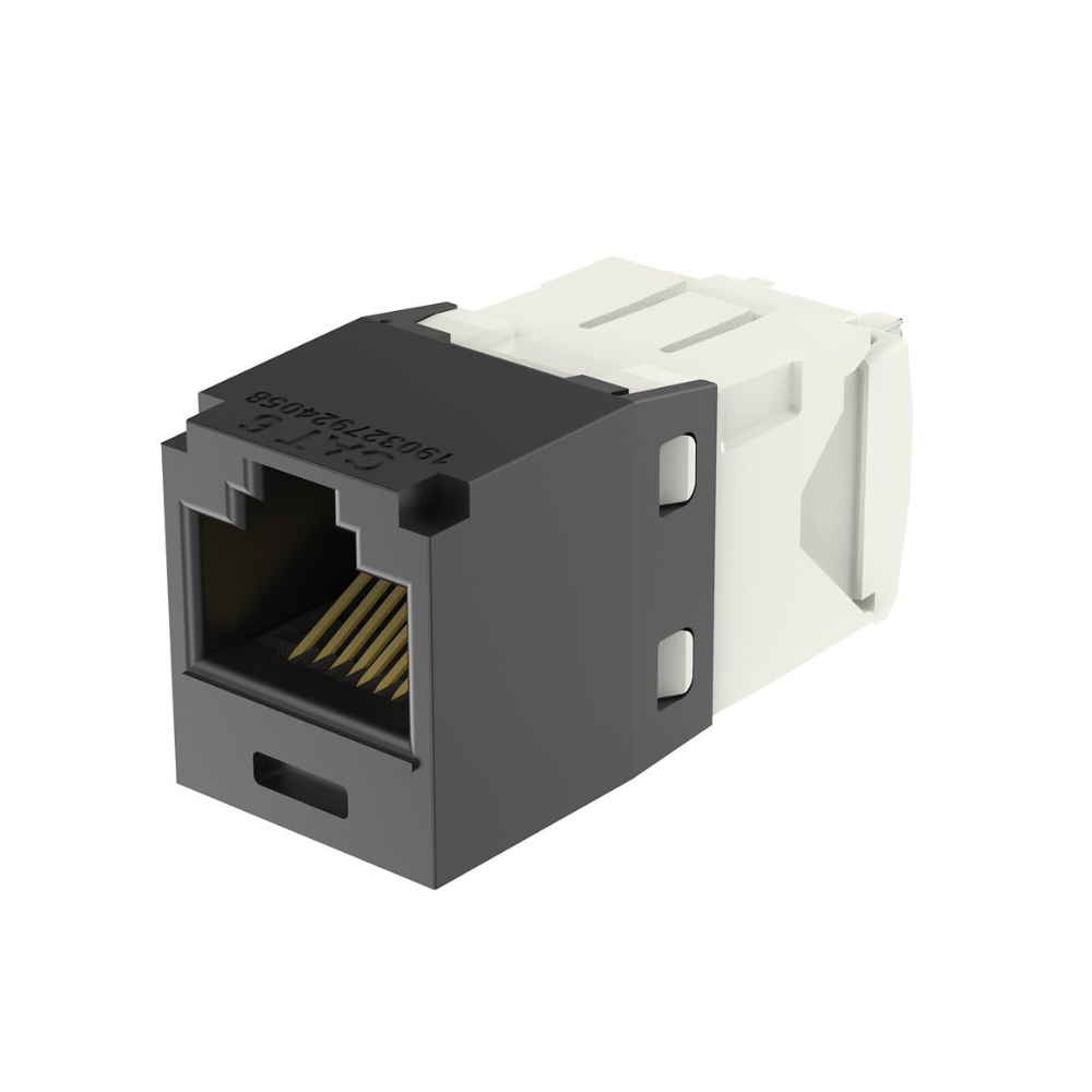Módulo de Conexión RJ45 para Red Negro Panduit 1 Módulo de Conexión RJ45 para Red Negro Panduit