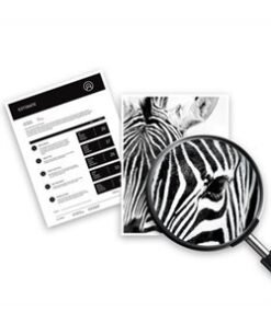 HP Cartucho de Tinta Original 670 Negro compatible con Deskjet Ink Advantage 3525, 46XX, 5525, 6525