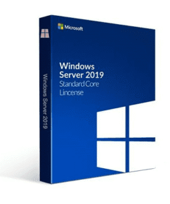 Microsoft Windows Server 2019 Standard Edition - Licencia - 16 núcleos - OEM - ROK - DVD - Microsoft Certificate of Authenticity (COA) - Español - EMEA, Americas