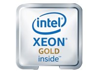 Intel Xeon Gold 5418Y - 2 GHz - 24 núcleos - 48 hilos - 45 MB caché - FCLGA4677 Socket