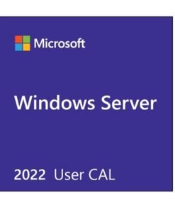 Microsoft Windows Server 2022 - Licencia - 5 usuarios CAL - OEM - Español
