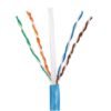 Panduit - Network cable - UTP 4 Foto PUL6004BU FE 1785161316 1